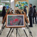 삼국유사군위도서관 이미지