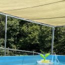 여름소풍 이미지