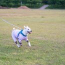 역사·문화·자연·휴식을 하루만에 만끽! ‘댕’도시의 여행법 in 인천 이미지