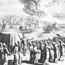 삭개오와뽕나무 이미지