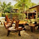 COZY GARDEN(코지가든) 이미지