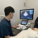 동탄원더스동물의료센터 이미지