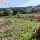 가교1리마을회관 네이버블로그