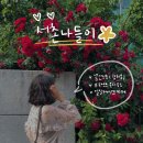 (주)더로드서울 이미지