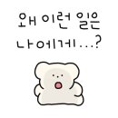 팀더킹MMA