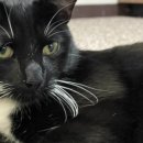 동찬농장 이미지