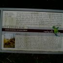 서천 남산성 이미지