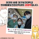 초록동물병원 이미지