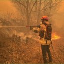 의성(청주) 이미지