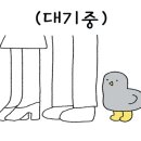 그린상회