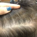 예향미용실 이미지