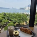 온더힐하우스 | 해운대 달맞이길 온더힐 카페 방문 후기~!!