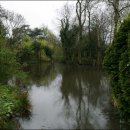 블리비의원 이미지