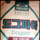도그피아 이미지