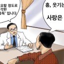 하루카츠 이미지