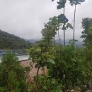 정부세종청사 옥상 정원길 이미지