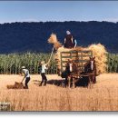 가을바람 이미지