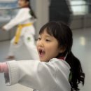 태권도 지화자 이미지