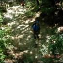 사기막골로 이미지