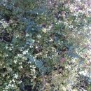 평화 어린이집 이미지