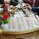 바다활어 이미지