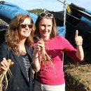 금산인삼전문점 이미지