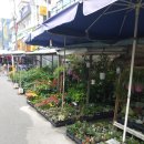 거북당구장 이미지