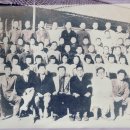 회덕초등학교 Daum카페