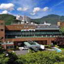 철암동행정복지센터 이미지