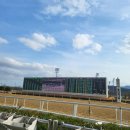 파크존 | 부산 렛츠런 파크 경마공원 루키존 재방문 이색 데이트 봄나들이 후기