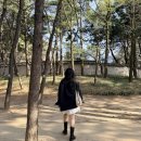 베이지 | 르메르 필트백 | 공홈 구매, 미디움 베이지 후기 (+착샷)