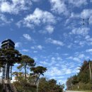 남원시립김병종미술관 | 남원시립김병종미술관 전시 관람 후기 / ’나는 나를 잃어버렸다‘