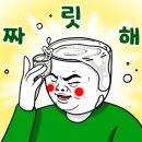 또치(참숯생고기) 이미지