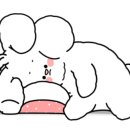 세영수산 이미지