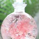 그레이스쇼핑 이미지