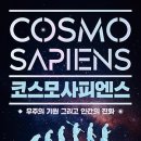 사피엔스 이미지