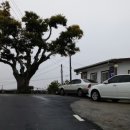 바다향기애 이미지