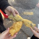 미씨족발 - 거제시 장평3로7길 54 | 미씨족발