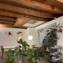 모브(MAUVE) 이미지