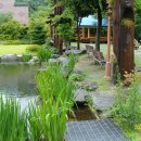 스위스밸리 이미지