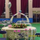 점봉초등학교 이미지