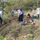 수겸농장 이미지