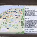 월드니스오토캠핑장 이미지