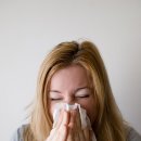 오뉴월 개팔자 이미지