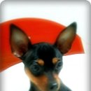 콜라네 반찬가게 이미지