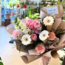 타티아르 이미지