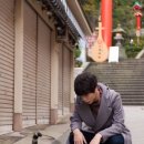 가쯔레쯔 이미지