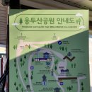 타워 | 부산 용두산 공원 부산타워 후기