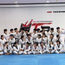 HTS 경희대 석사 태권도장 | 안산태권도, 우리 아이 성장 전략: 지도진과 교육 프로그램의 심층 분석