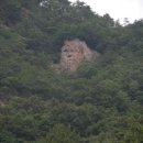 보은삼가대추농원 이미지
